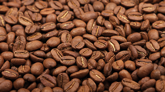Arabica vs Robusta