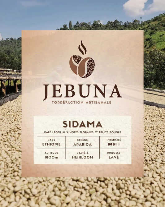 SIDAMA Jebuna coffee
