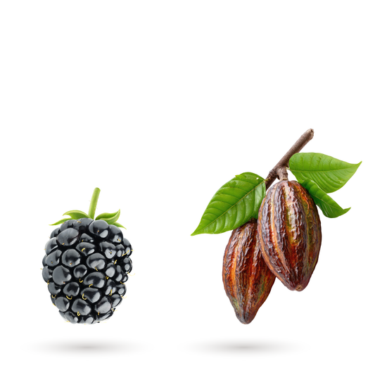 Café équilibré aux notes de mûres et de cacao | JARAMA Jebuna coffee