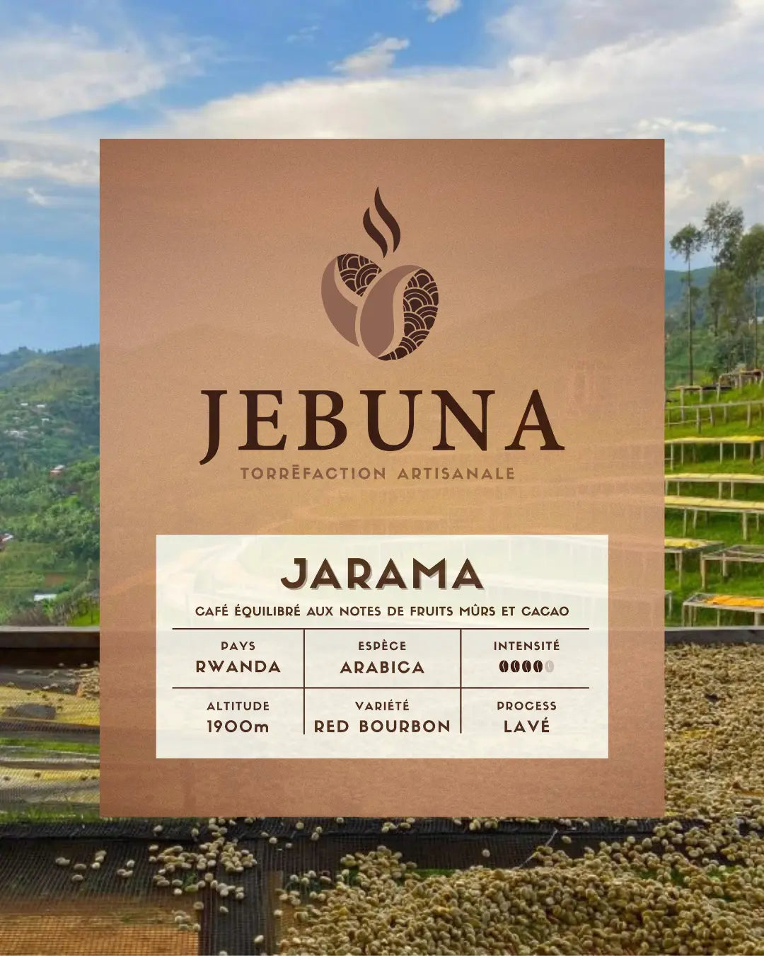 PACK DECOUVERTE Jebuna coffee