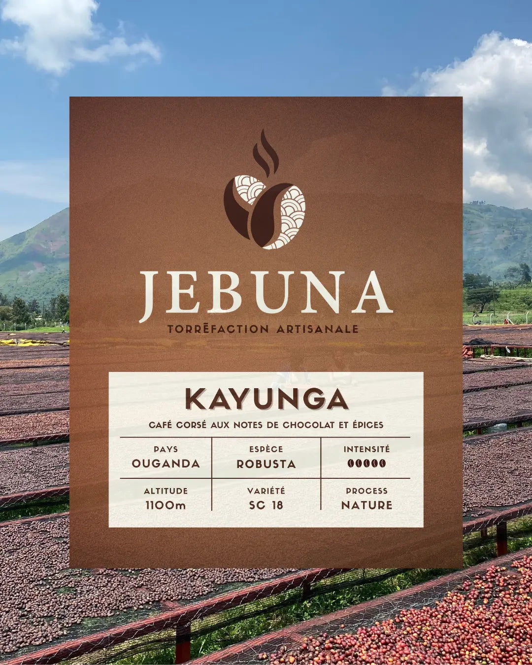 KAYUNGA Jebuna coffee