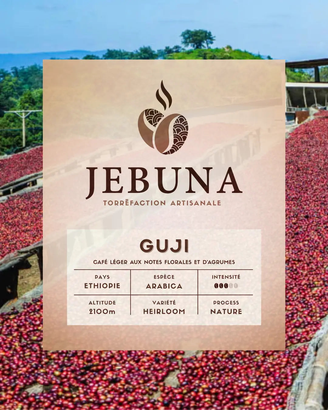 PACK DECOUVERTE Jebuna coffee