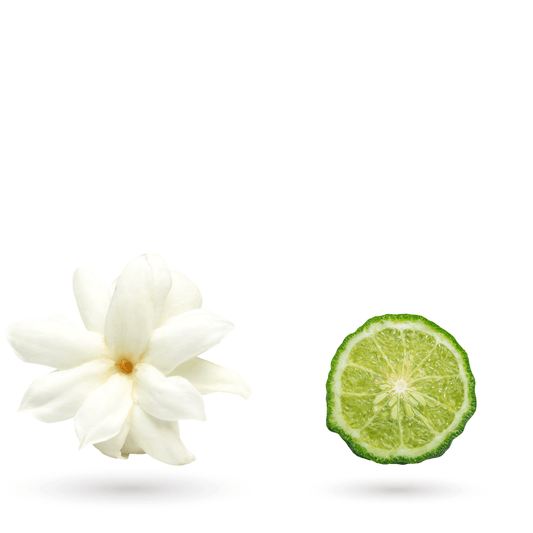 Café fruité florales & agrumes – GUJI