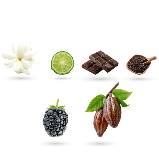 Trio de cafés 3x100g | PACK DÉGUSTATION Jebuna coffee