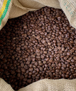 Café équilibré mûre & cacao – JARAMA