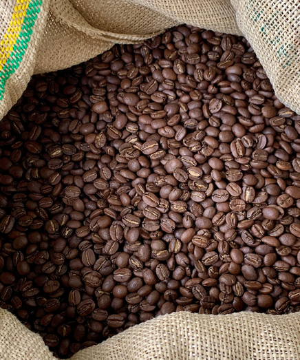 Café équilibré mûre & cacao – JARAMA